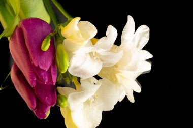 beautiful floral composition with tulips 