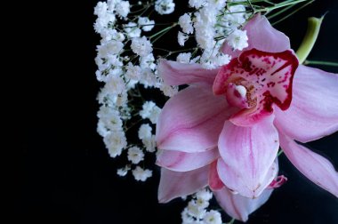 close up of beautiful composition  with  orchid flowers