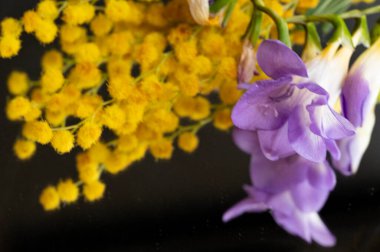   freesias  and mimosas  bouquet, close up