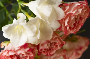  floral composition with roses and freesias 