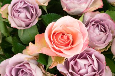 close up od beautiful bouquet  with roses