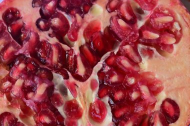 close-up of fresh ripe pomegranate 