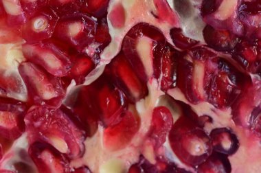 close-up of fresh ripe pomegranate 