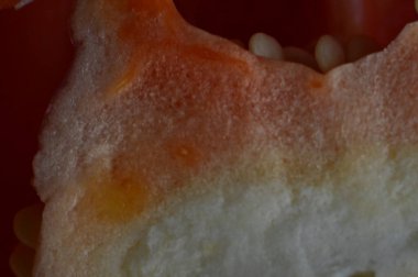 red pepper, paprika, close up