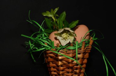 easter holiday, eggs  in  basket on black background 