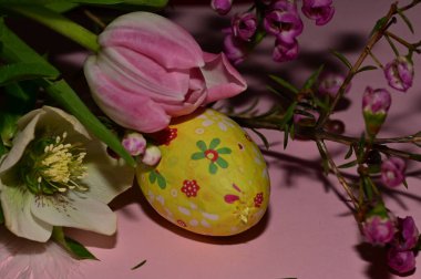 holiday composition of  spring   flowers and  easter egg