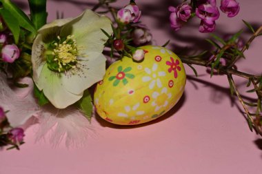 holiday composition of  spring   flowers and  easter egg