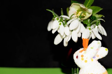 beautiful  spring   snowdrops and easter bunny 