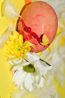   flowers and  easter egg in feathers, close up