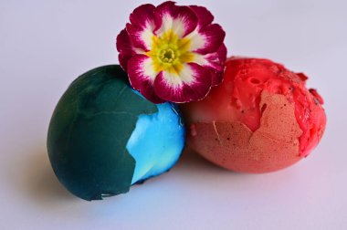 painted easter eggs and flower, close up