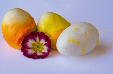 painted easter eggs and flower, close up
