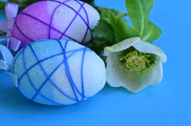 beautiful   flower and  easter eggs 