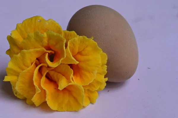 Beautiful Flower Easter Egg — Stockfoto