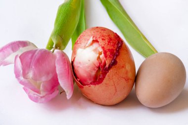 beautiful    tulip  flower and  easter eggs 