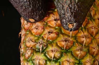 Siyah arka planda ananas ve avokado.