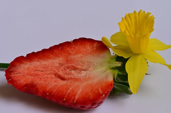 Helle Narzissenblüte Und Erdbeere — Stockfoto