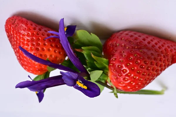 Bright Flower Fresh Strawberries — Stock Photo, Image