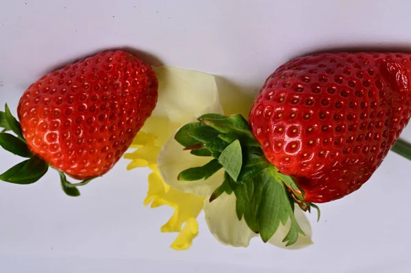 Bright Daffodil Flower Strawberries — Stockfoto