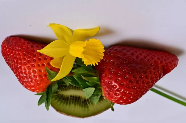 Bright Daffodil Flower Strawberries Kiwi — Photo