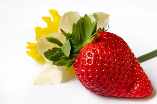Frische Erdbeeren Mit Blumen Auf Weißem Hintergrund — Stockfoto