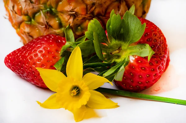 Narzissenblüte Und Erdbeeren Ananas — Stockfoto