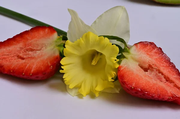 Helle Narzissenblüte Und Erdbeeren — Stockfoto