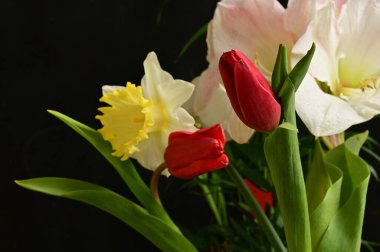 Çiçekli güzel çiçek kompozisyonu