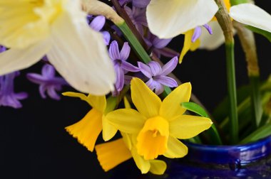 Çiçekli güzel bahar çiçekleri.