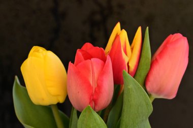 Çiçekli güzel çiçek kompozisyonu