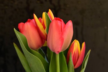 Çiçekli güzel çiçek kompozisyonu