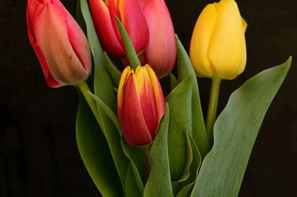 Schöne Florale Komposition Mit Blumen — Stockfoto