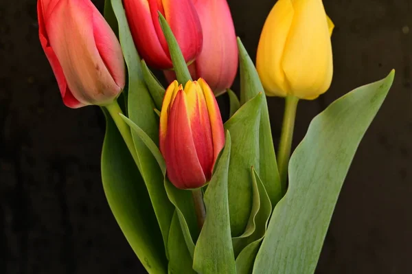 Schöne Florale Komposition Mit Blumen — Stockfoto
