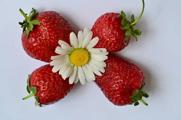 Schöne Erdbeeren Mit Kamillenblüte Auf Weißem Hintergrund — Stockfoto