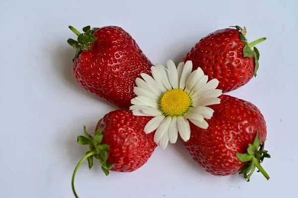 Schöne Erdbeeren Mit Kamillenblüte Auf Weißem Hintergrund — Stockfoto