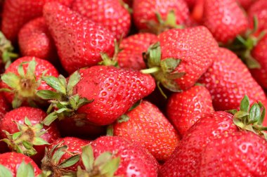 Yakın çekim - taze olgun çilek