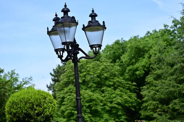 old street lamps in the park in a sunny day.