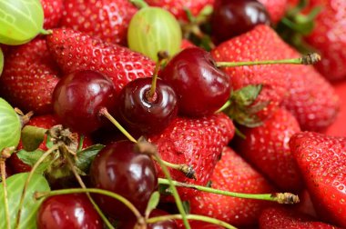 Yakın çekim - taze olgun meyveler