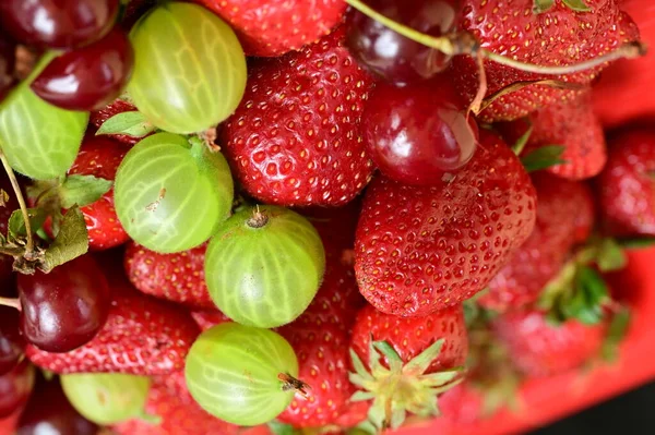 Close Shot Fresh Ripe Berries — Stok Foto