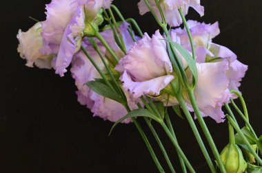 Güzel, parlak bir çiçek buketi.