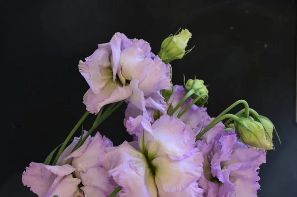 stock image beautiful bright bouquet of  flowers, close up