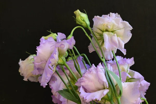 Beau Bouquet Lumineux Fleurs Gros Plan — Photo