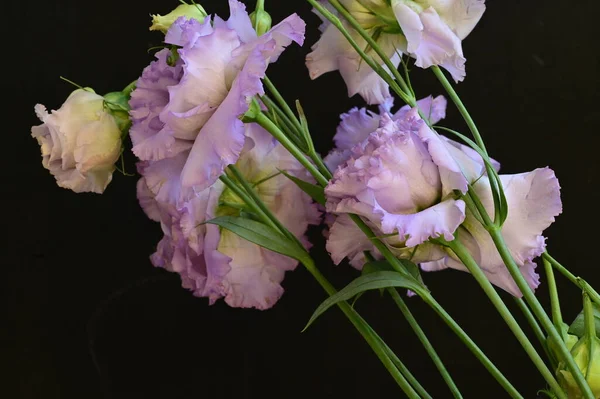 Piękny Jasny Bukiet Kwiatów Zbliżenie — Zdjęcie stockowe