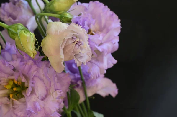 Красивий Яскравий Букет Квітів Крупним Планом — стокове фото