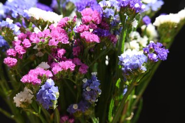 güzel çiçekler, görünümü kapatın
