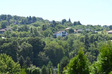 Binalar ve ağaçlarla çevrili manzara