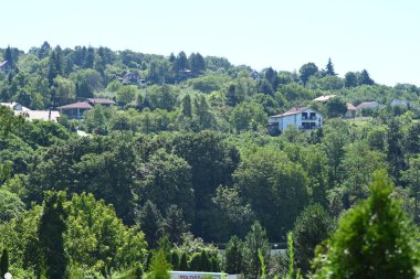 Binalar ve ağaçlarla çevrili manzara