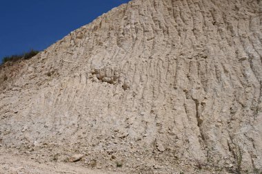 Dağlarda yetişen yeşil bitkiler