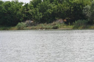 Yaz aylarında güzel göl