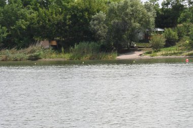 Güzel göl manzarası 