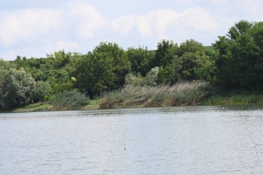 Güzel göl manzarası 